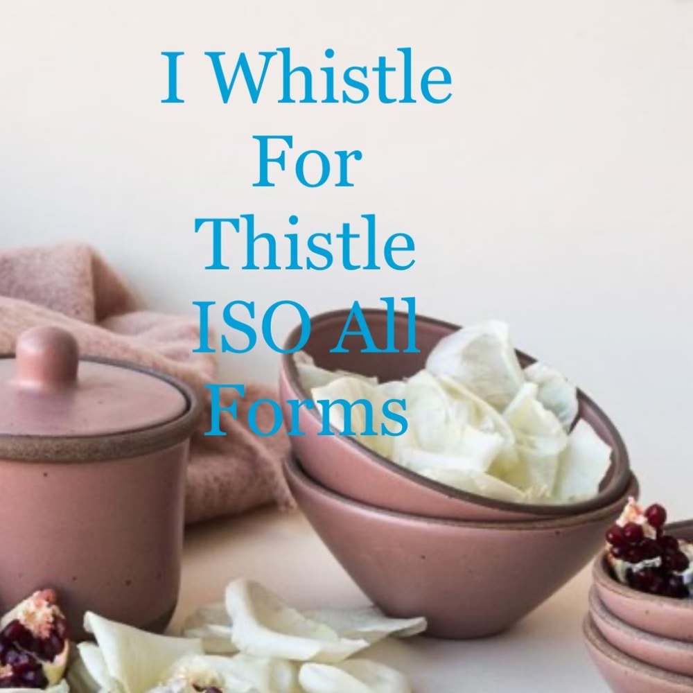 ISO THISTLE EAST FORK POTTERY PLATES AND BOWLS WILL PURCHASE ASAP